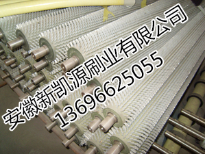 果蔬清洗去皮刷輥