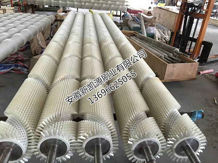 蔬菜水果清洗毛刷輥
